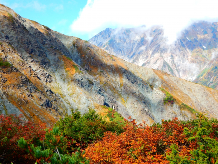 紅葉の山