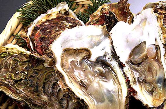 牡蠣（カキ）おきりこみ、大好評です